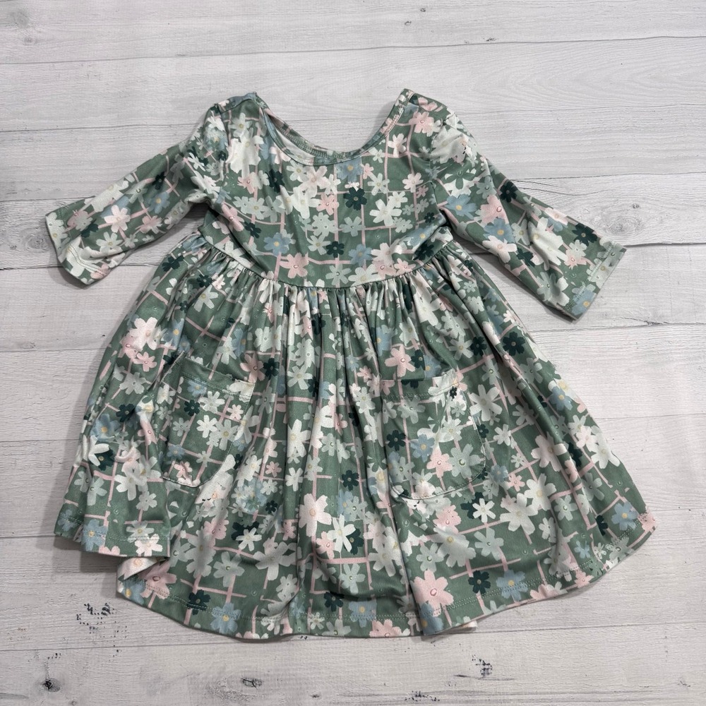 Mila & Rose girls green pink floral dress size 3T